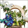 Amazing Surprise - Click here to View more details about this Product